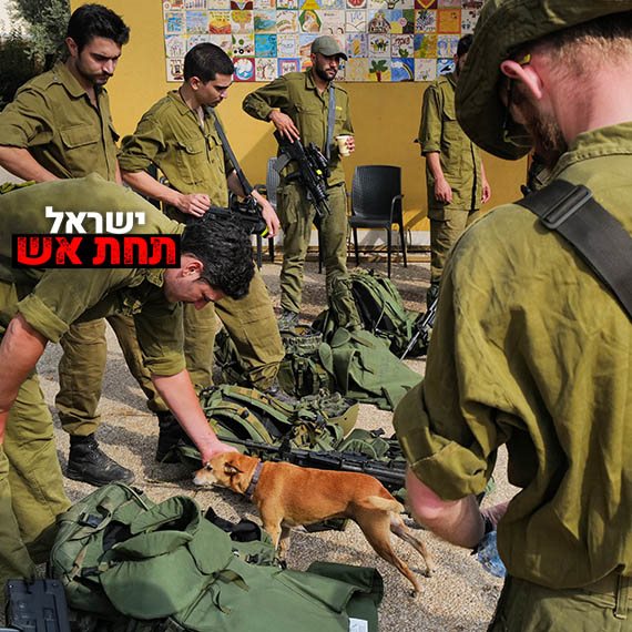 מלחמת חרבות ברזל - ארכיון